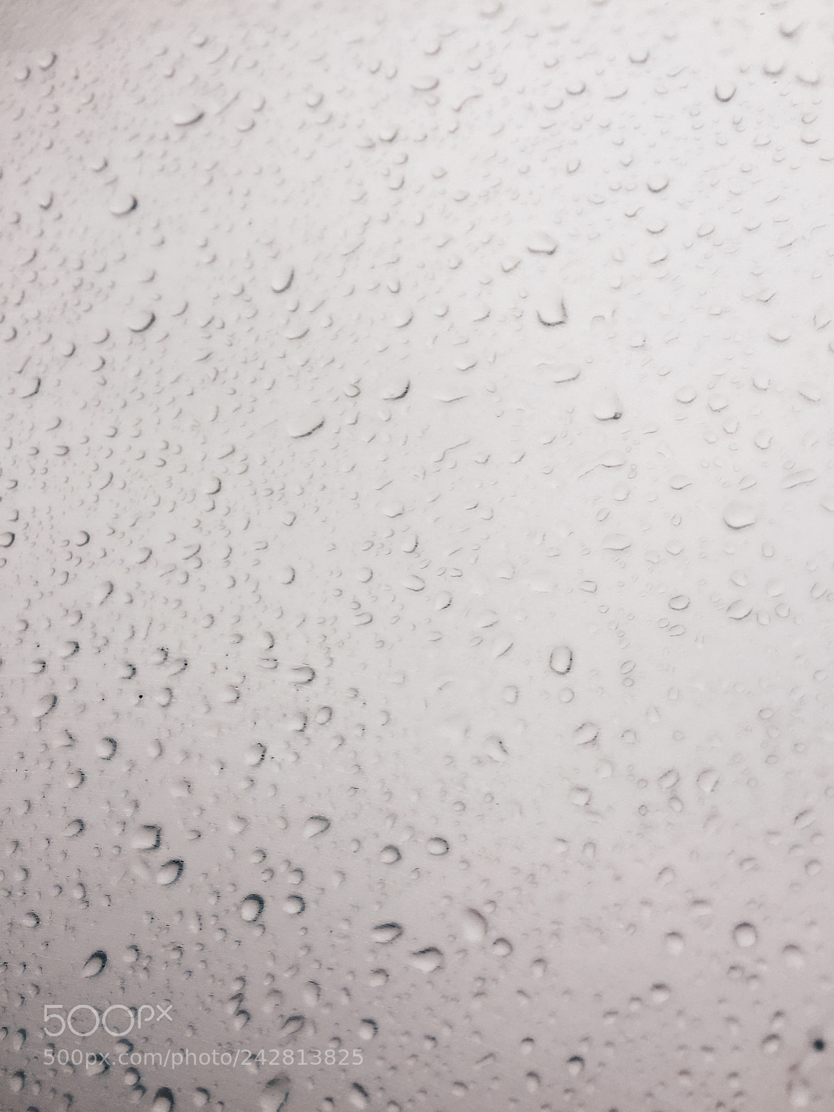 Apple iPhone 6 sample photo. Rainy day photography