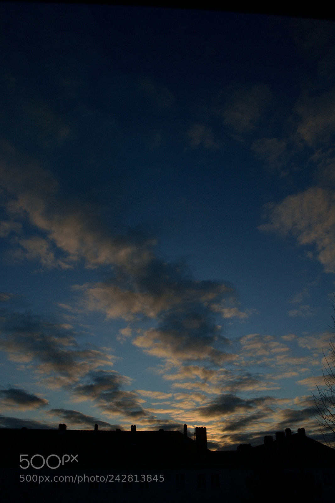 Nikon D3100 sample photo. Lined up photography