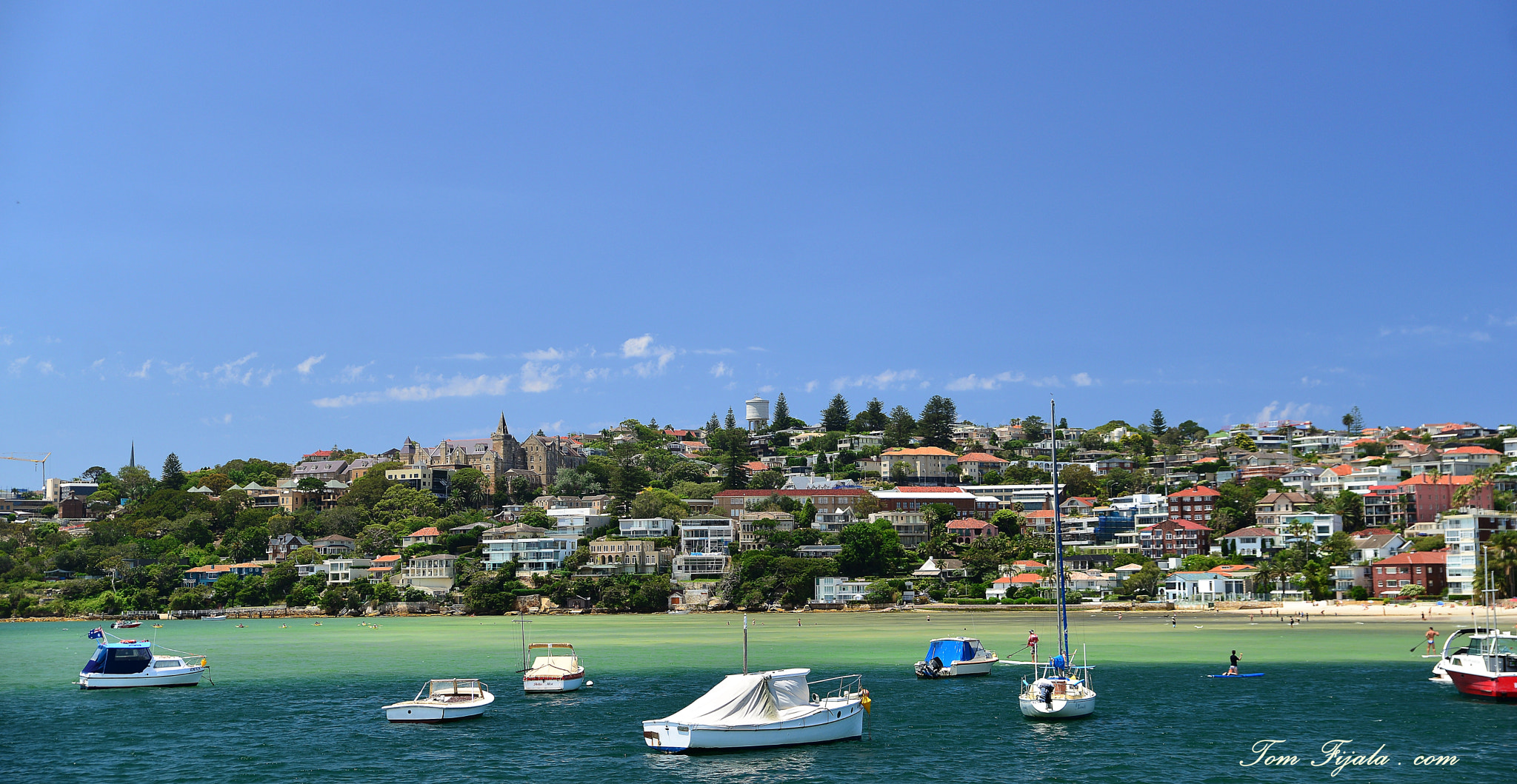 Nikon D610 + Tamron SP 24-70mm F2.8 Di VC USD sample photo. Rose bay - sydney photography