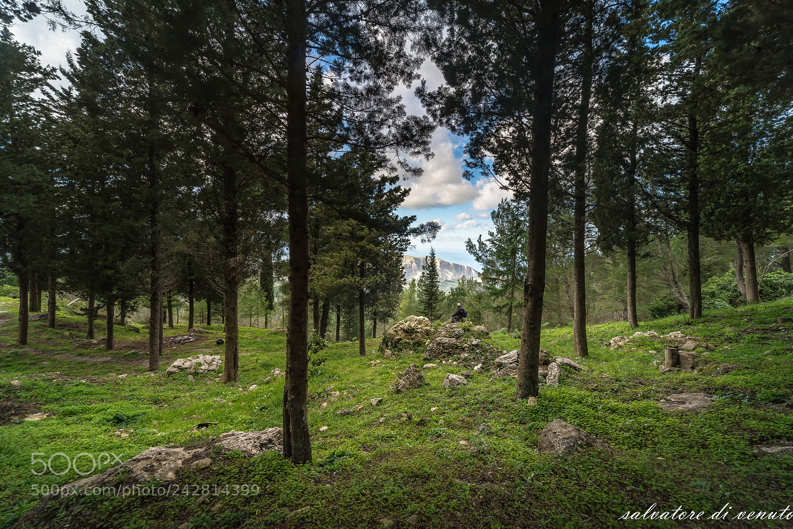Nikon D610 sample photo. Sicilia photography
