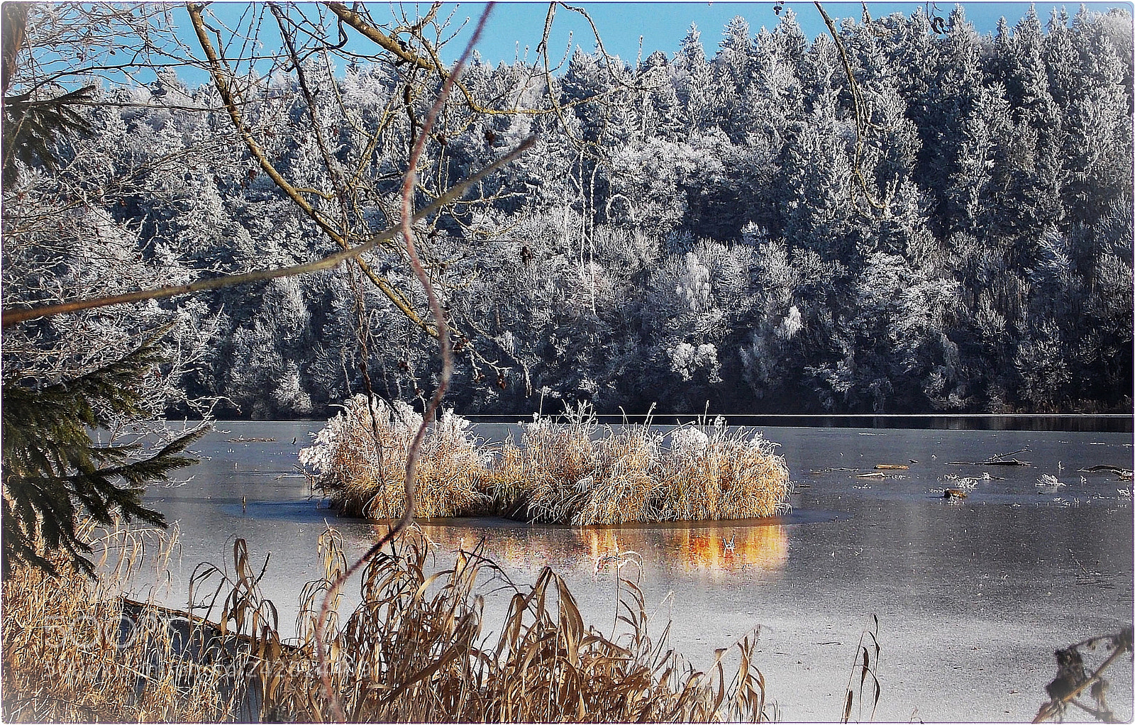 Nikon Coolpix L810 sample photo. Winterday in the mirror photography