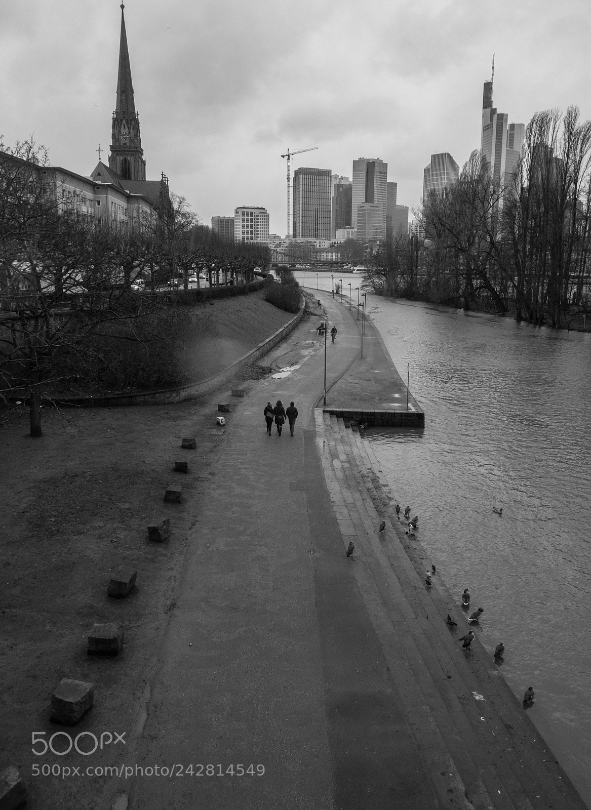 Fujifilm X10 sample photo. The way photography