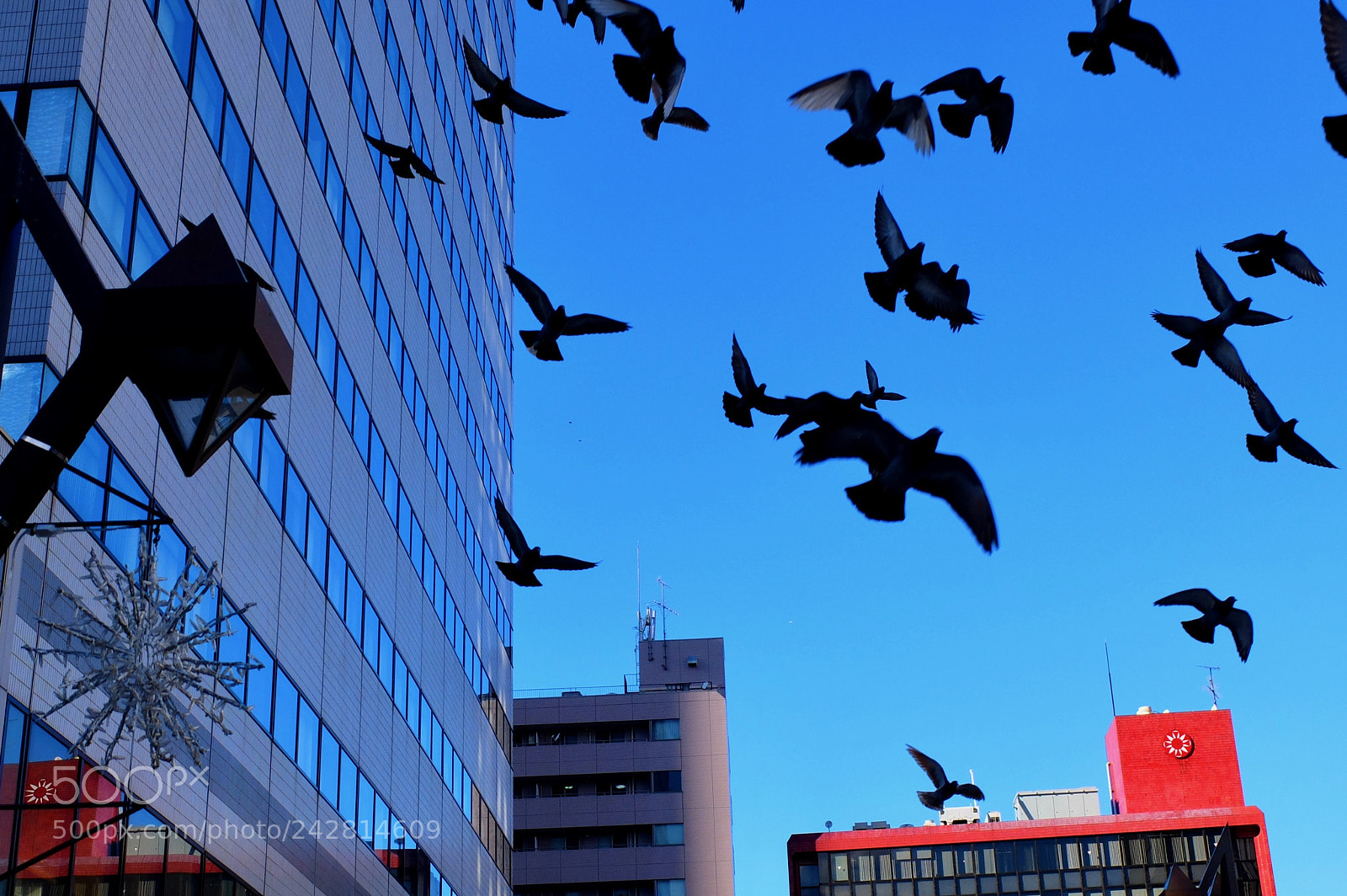 Fujifilm X30 sample photo. A winter sky... photography