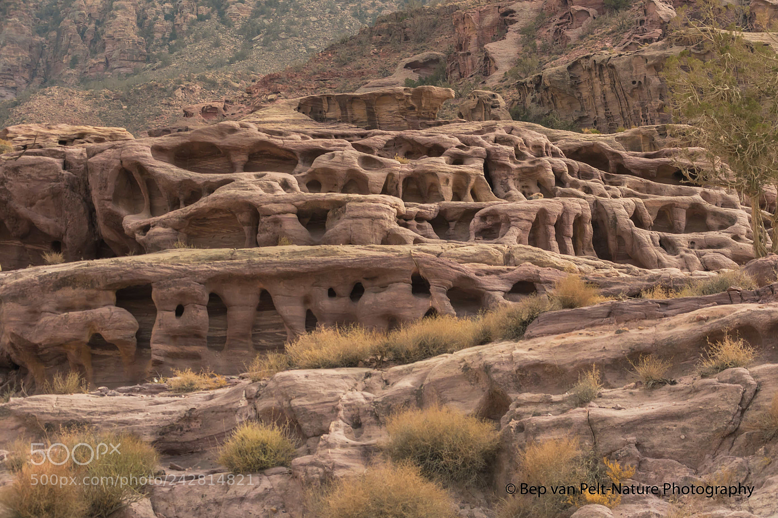 Nikon D500 sample photo. Dripping rocks photography