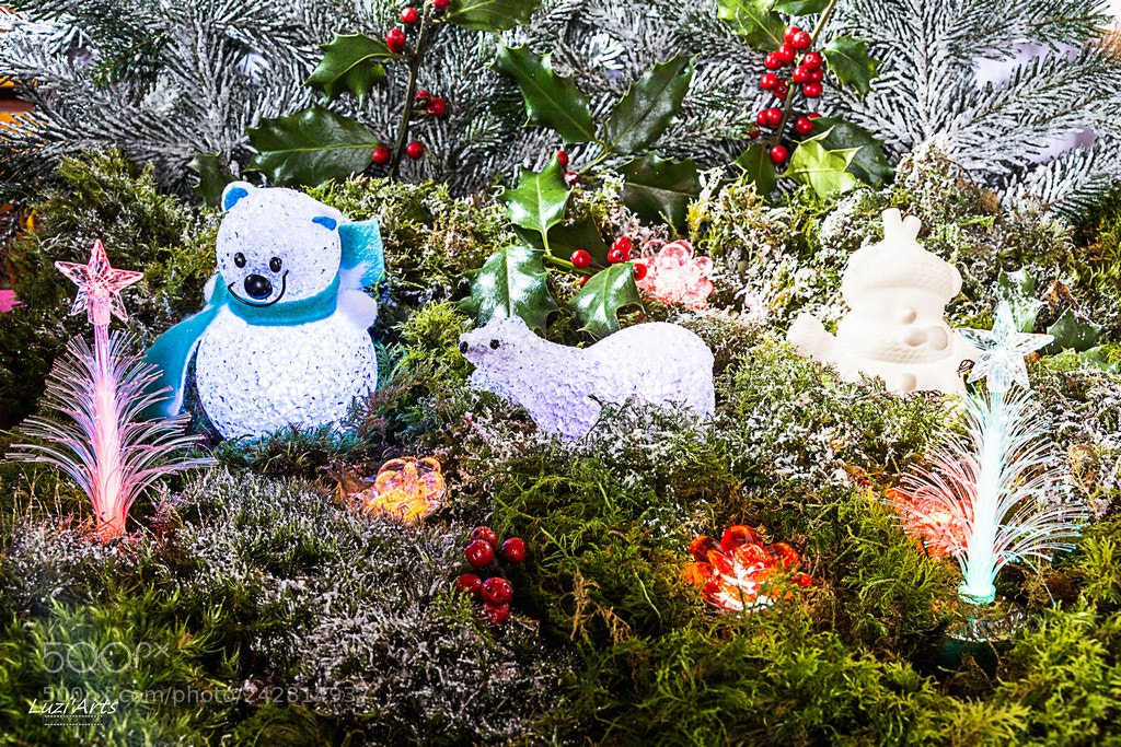Nikon D7200 sample photo. Défi de noel 2017 photography