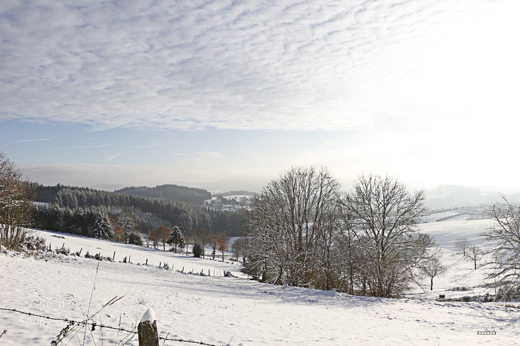 Canon EOS 100D (EOS Rebel SL1 / EOS Kiss X7) sample photo. Défi de noel 2017 photography