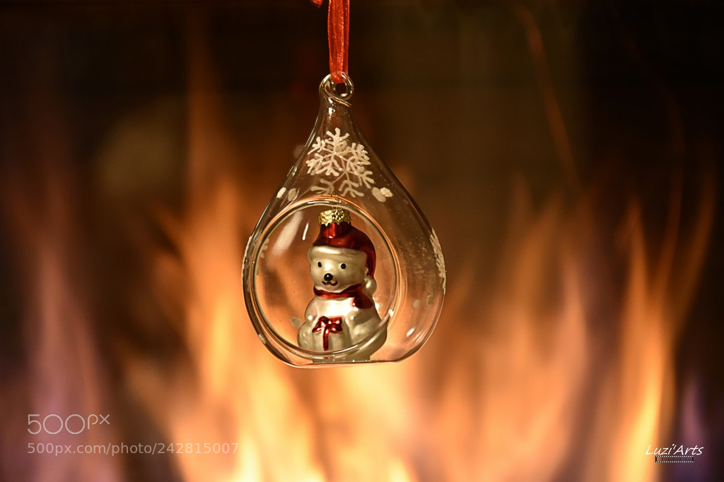 Nikon D7200 sample photo. Défi de noel 2017 photography