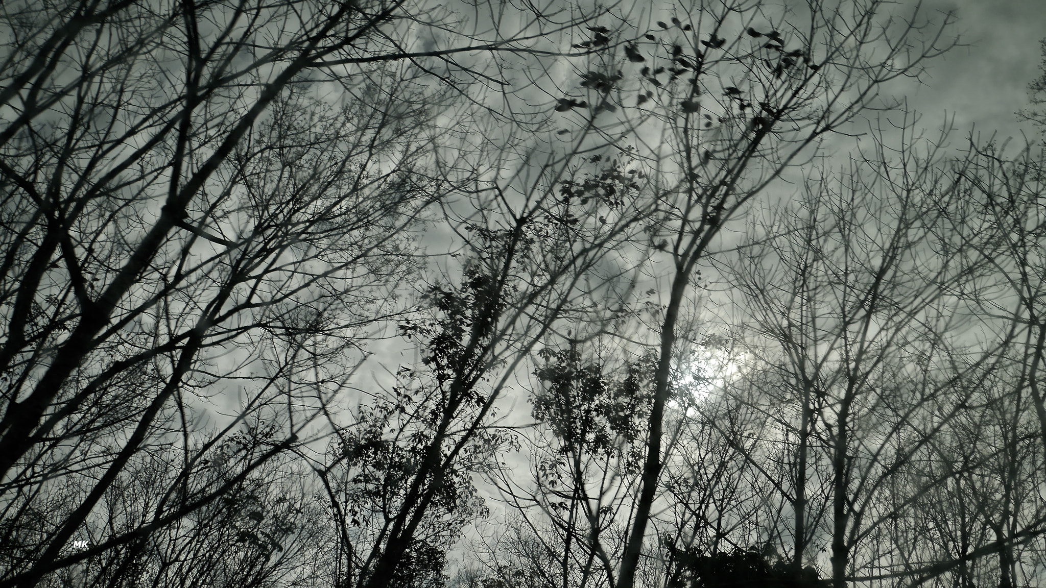 Panasonic Lumix DMC-GF6 sample photo. Untitled photography
