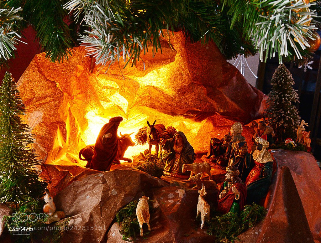 Nikon D7100 sample photo. Défi de noel 2017 photography