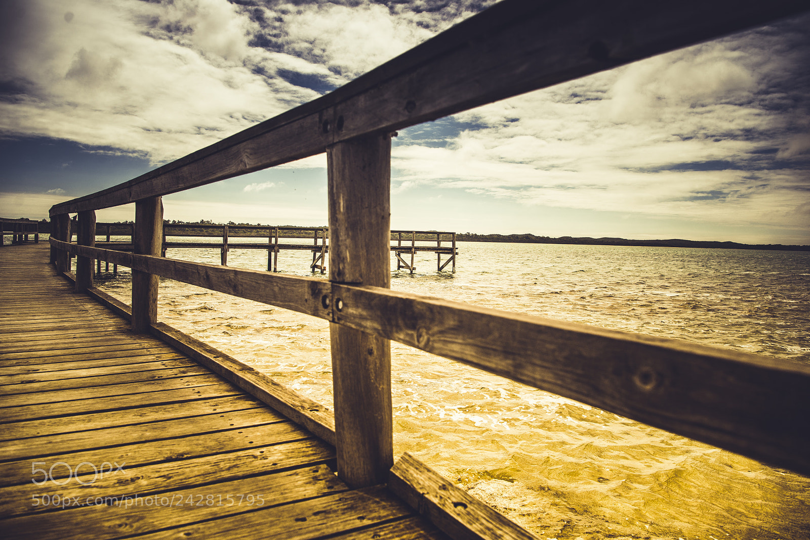 Nikon D610 sample photo. Shimmering photography