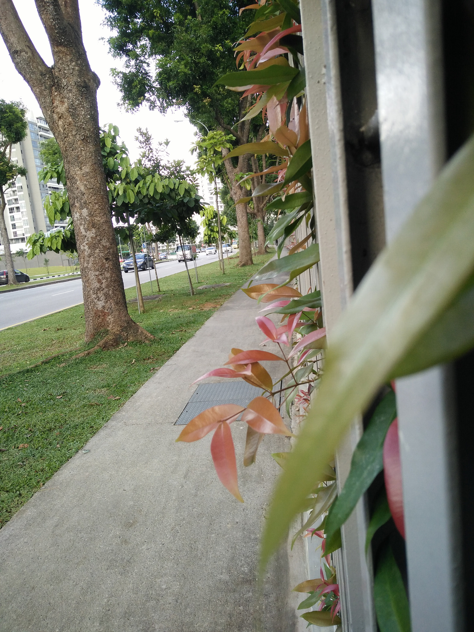 OPPO R7sfg sample photo