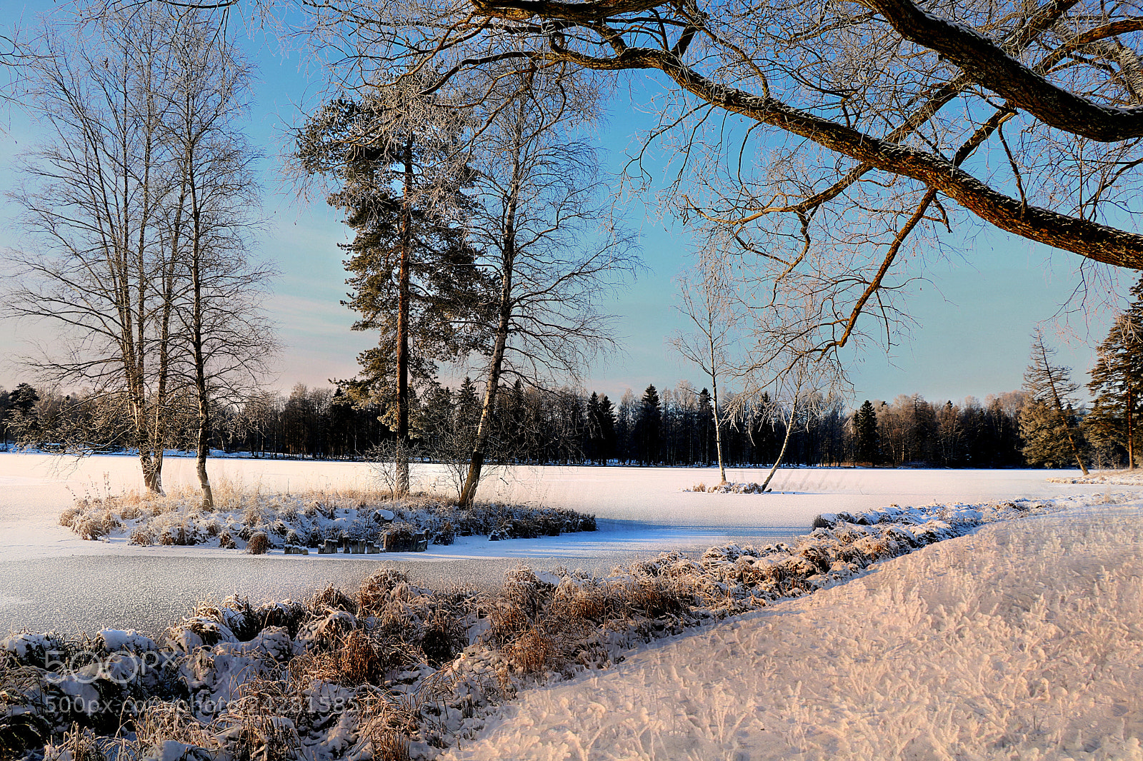 Canon EOS 750D (EOS Rebel T6i / EOS Kiss X8i) sample photo. ЗИМУШКА photography