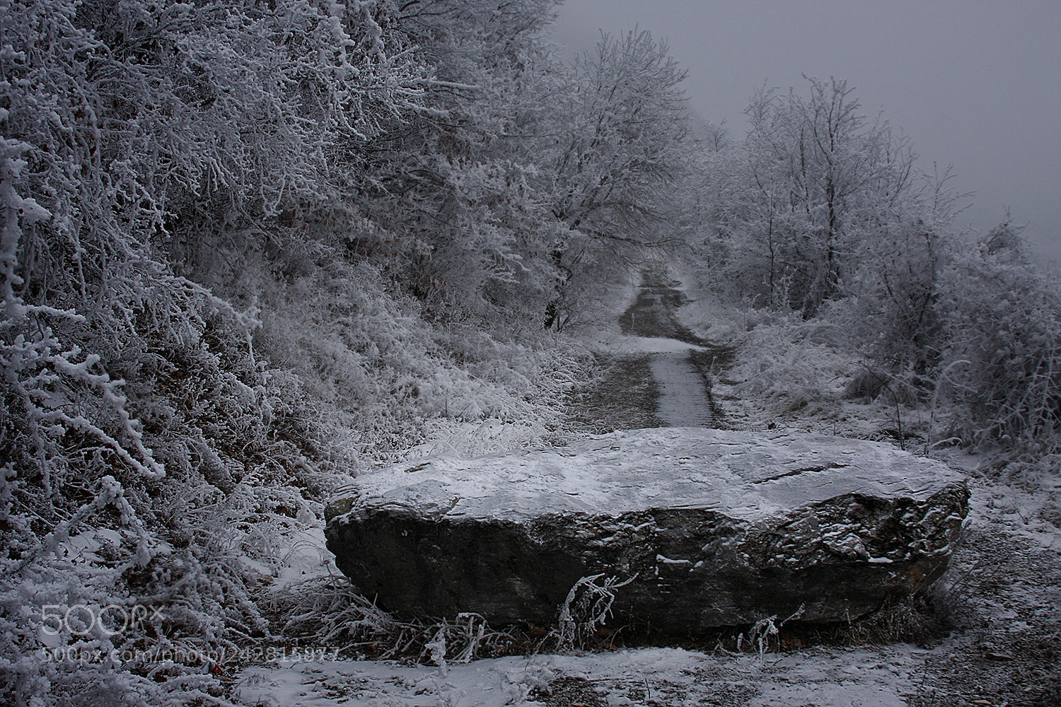 Canon EOS 40D sample photo. Misty way photography