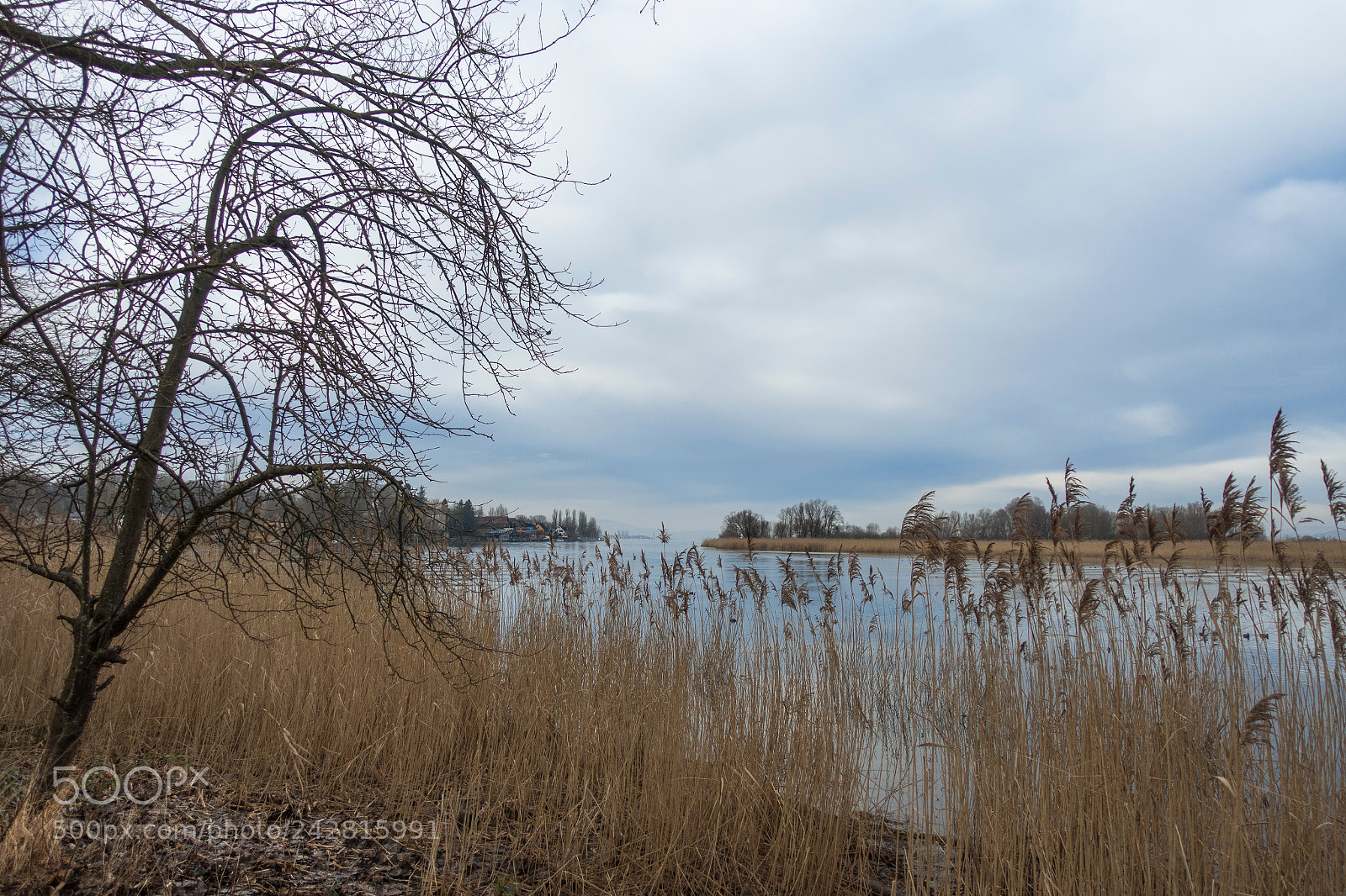 Sony Cyber-shot DSC-RX100 III sample photo. Riverside photography