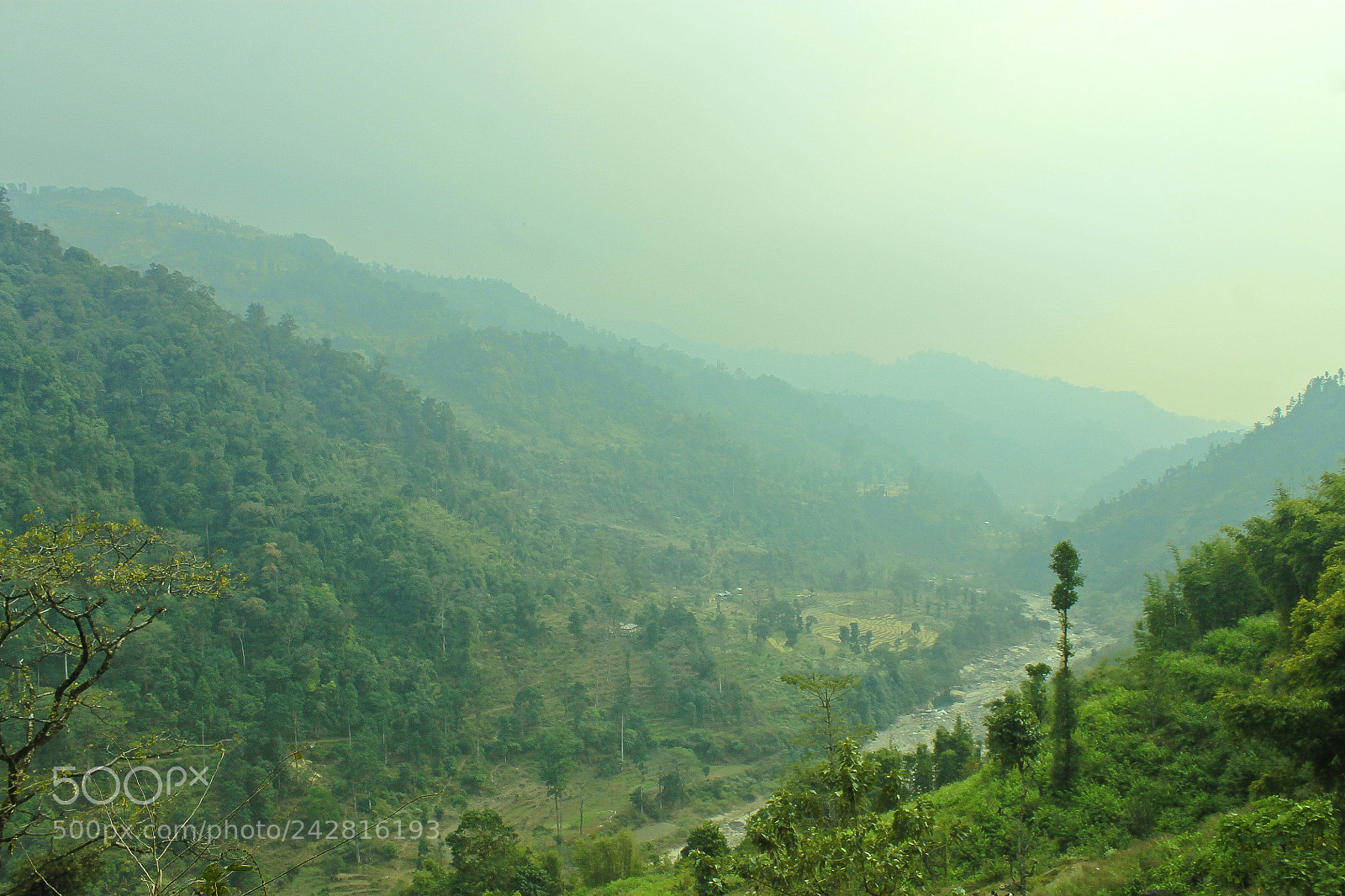 Canon EOS 1100D (EOS Rebel T3 / EOS Kiss X50) sample photo. Nature's curves!! photography