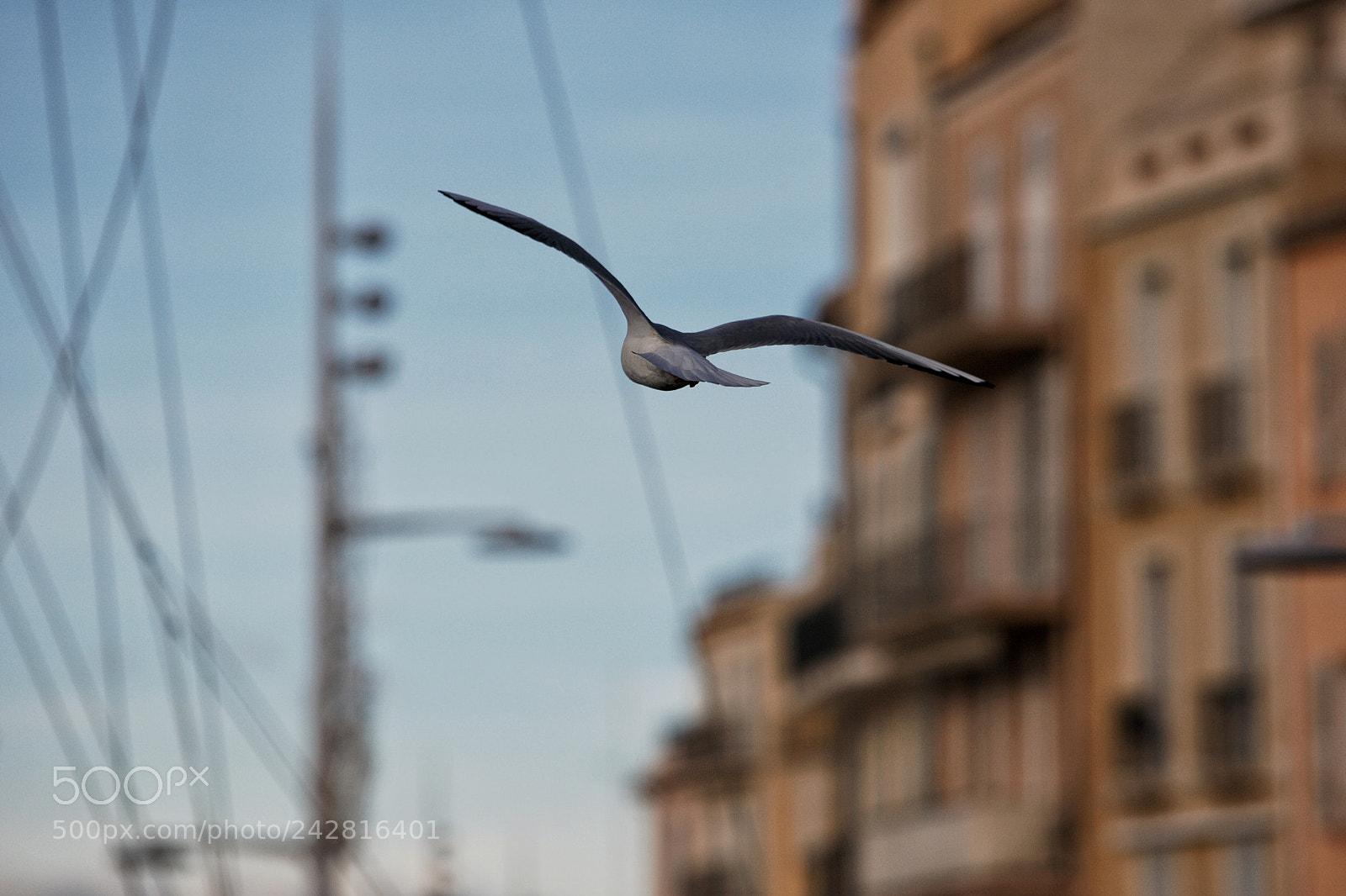 Canon EOS-1D Mark III sample photo. Sea, earth, air photography