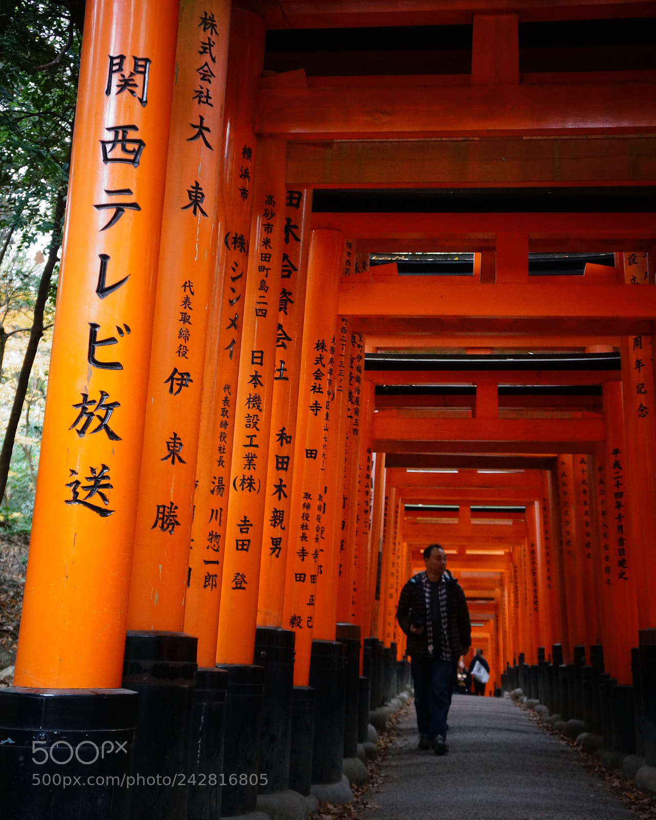 Sony Alpha NEX-5R sample photo. Fushimi inari-taisha kyoto, japan photography