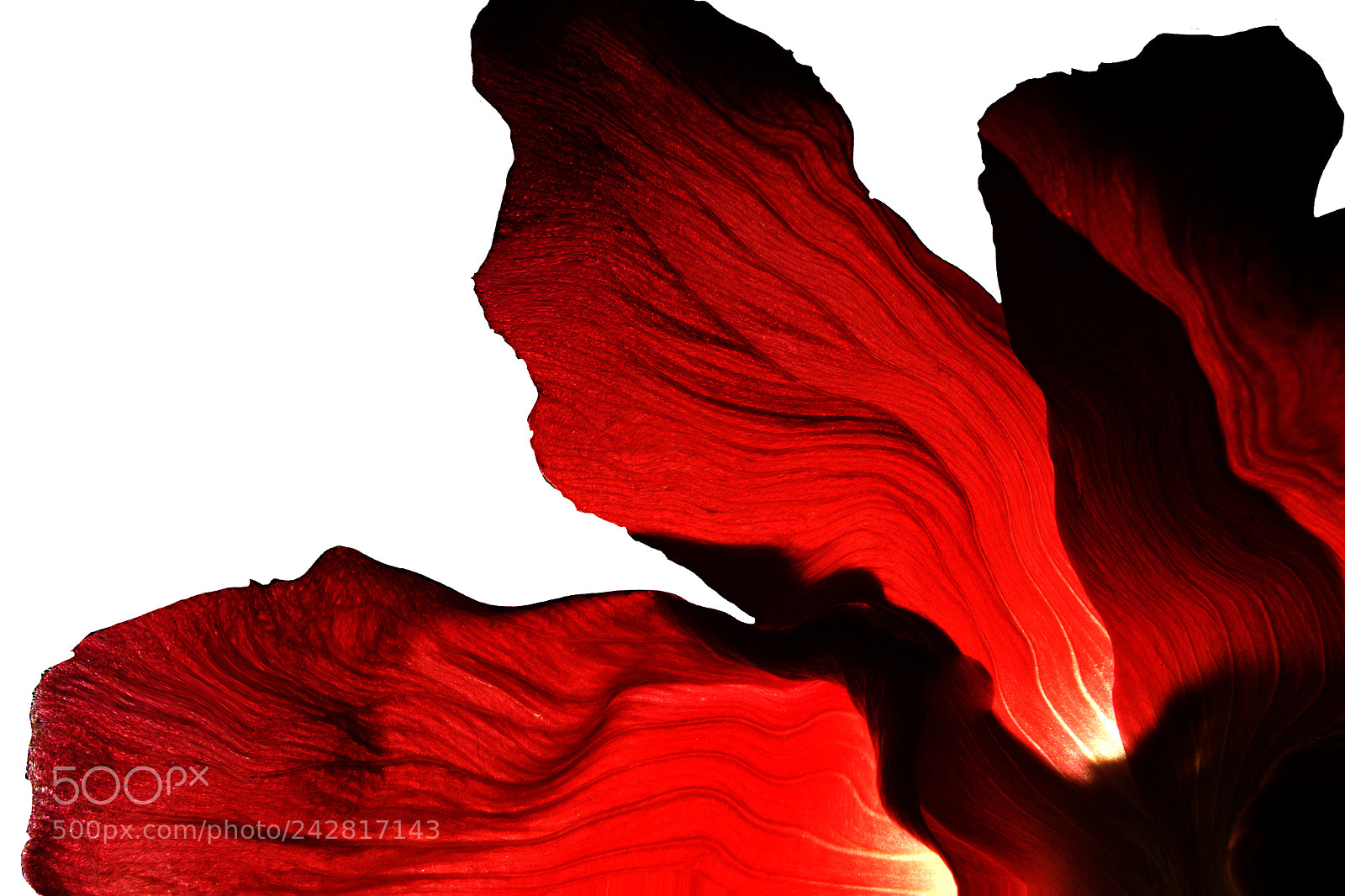 Olympus OM-D E-M1 sample photo. Red waves photography