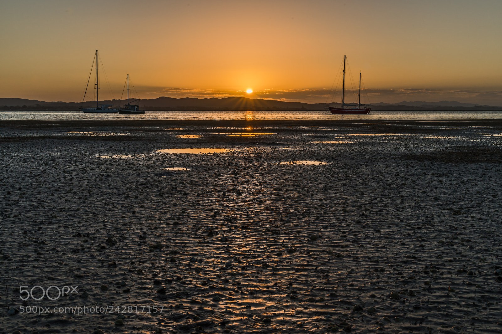 Sony a7R III sample photo. Gone but not forgotten photography