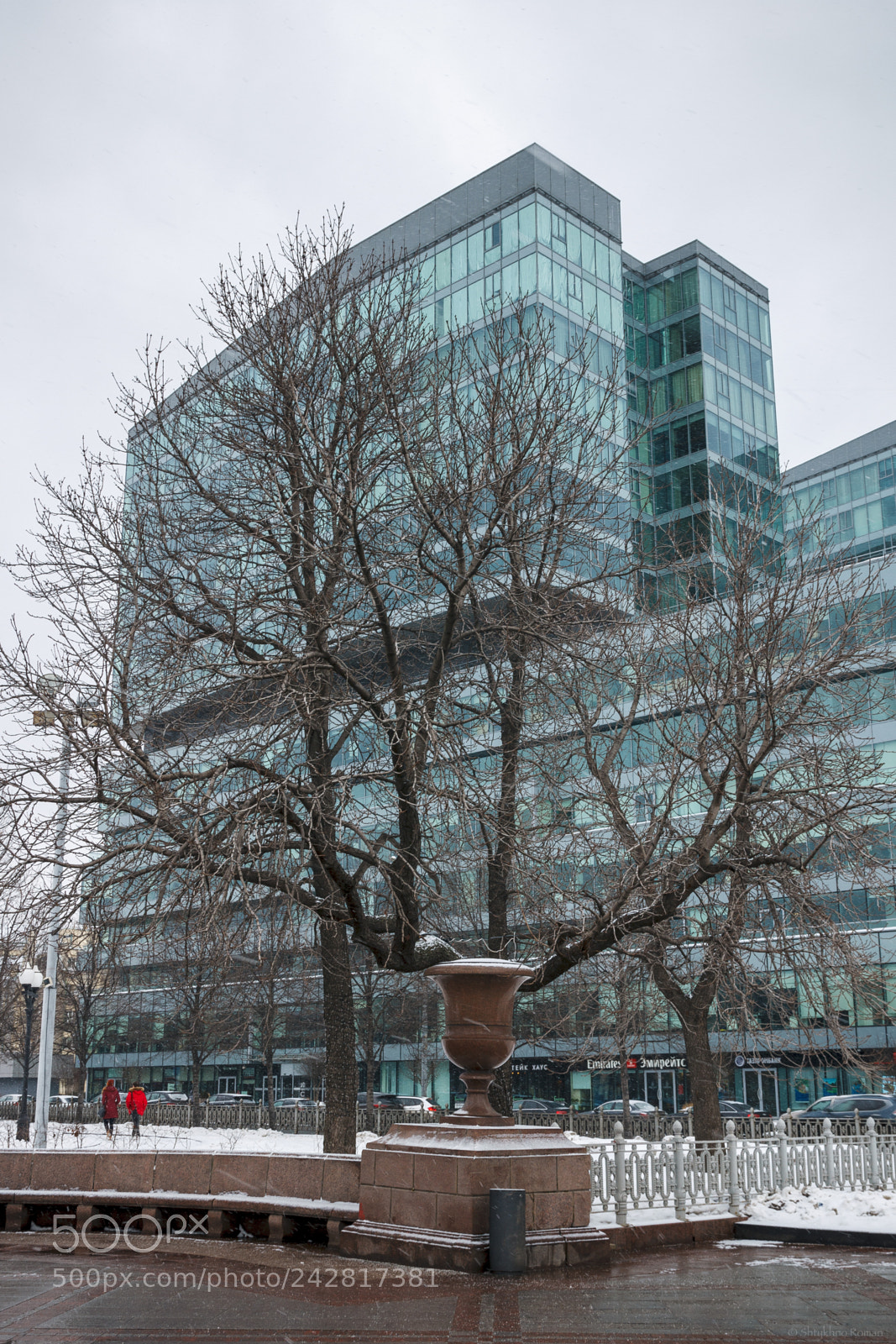 Canon EOS 60D sample photo. Tree photography