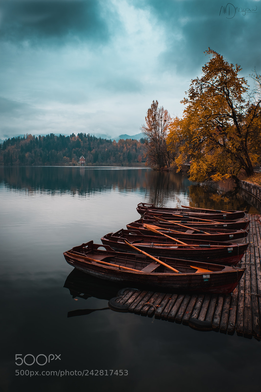 Fujifilm X-T10 sample photo. Bled boats photography