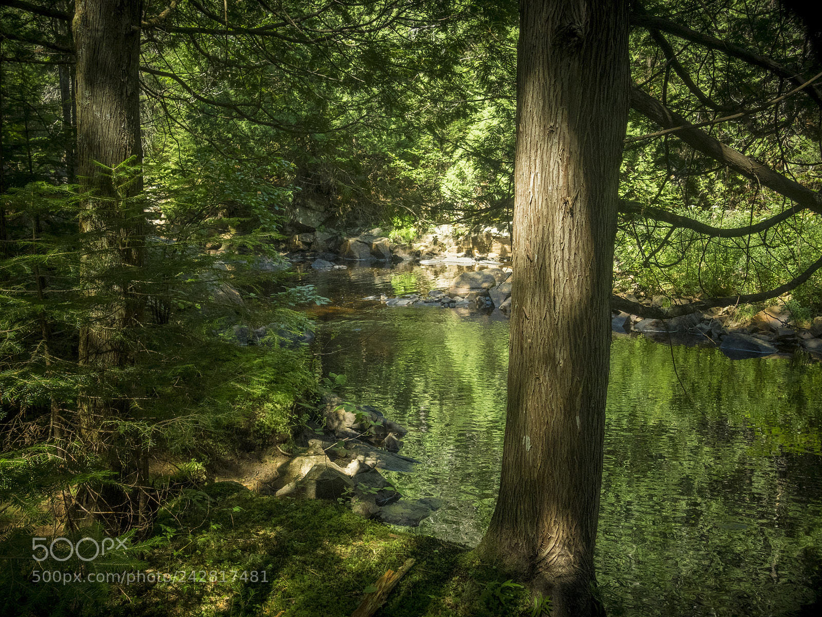 Olympus OM-D E-M1 sample photo. Summer landscape photography