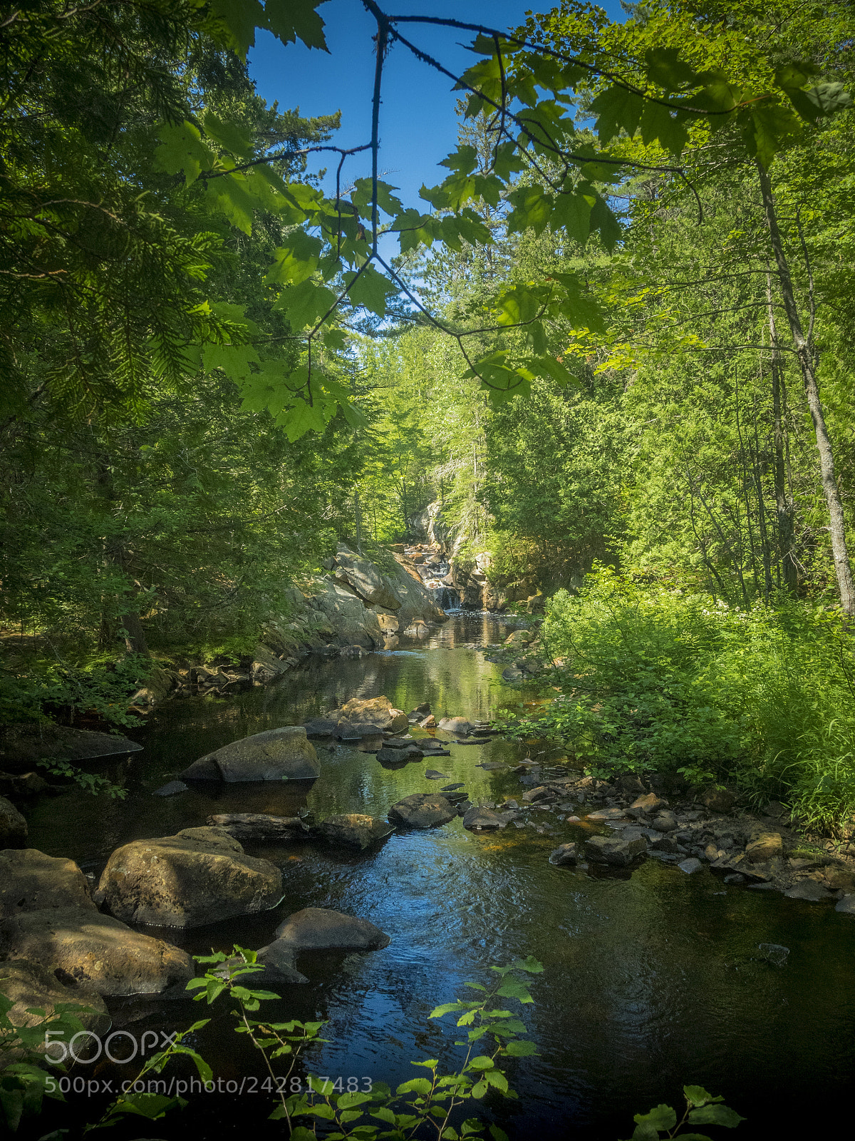 Olympus OM-D E-M1 sample photo. Summer landscape photography