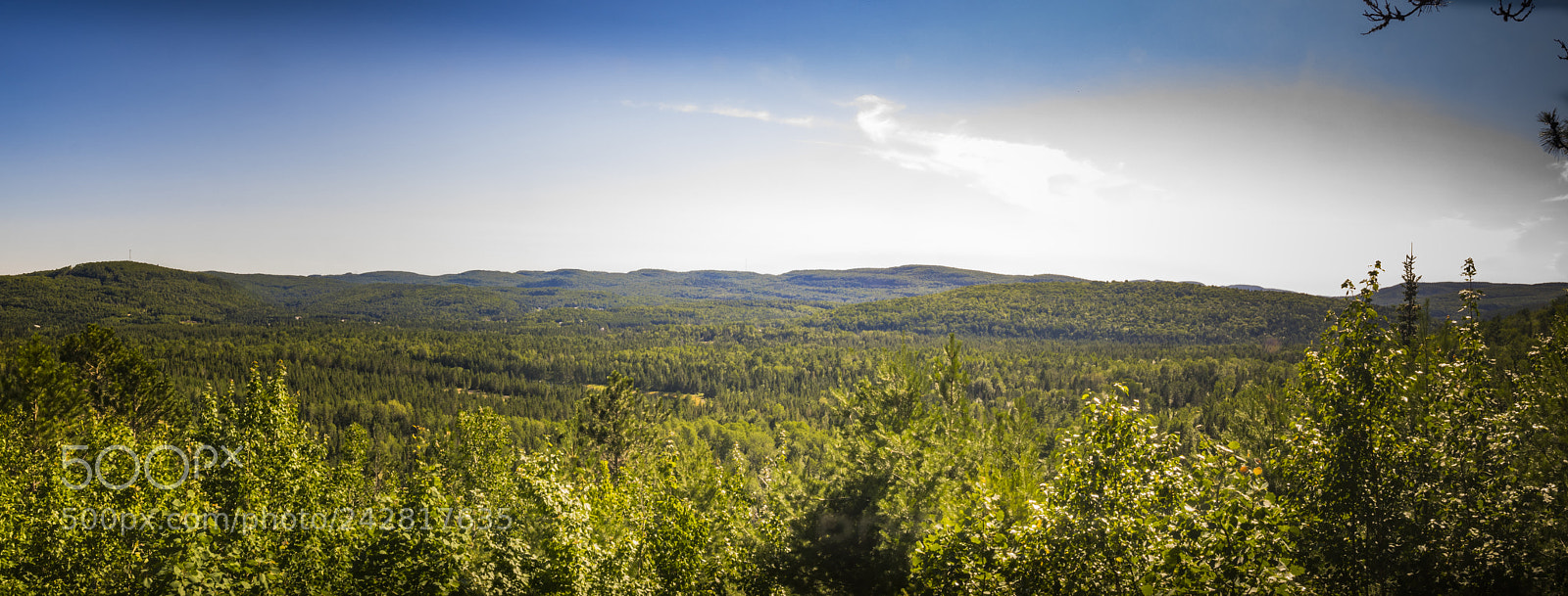 Olympus OM-D E-M1 sample photo. Summer landscape photography