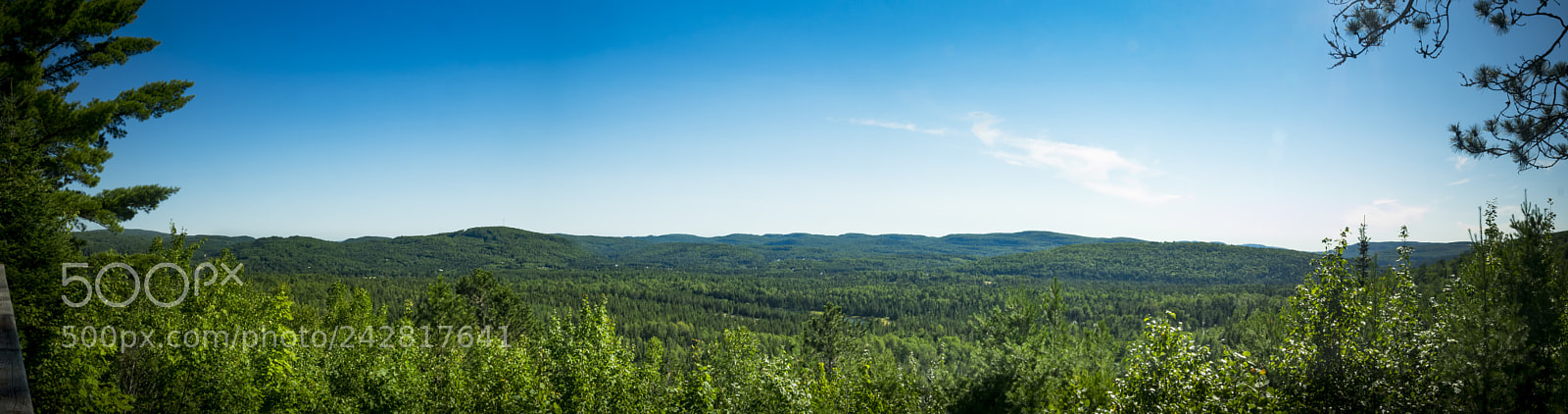 Olympus OM-D E-M1 sample photo. Summer landscape photography