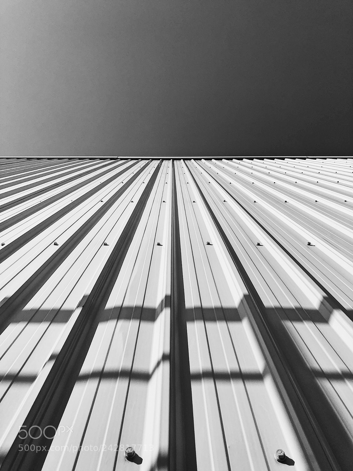 Apple iPhone X sample photo. Untitled photography