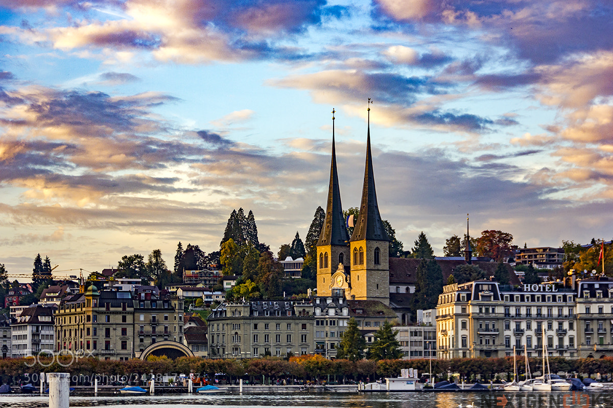 Canon EOS 550D (EOS Rebel T2i / EOS Kiss X4) sample photo. Dramatic lucerne photography