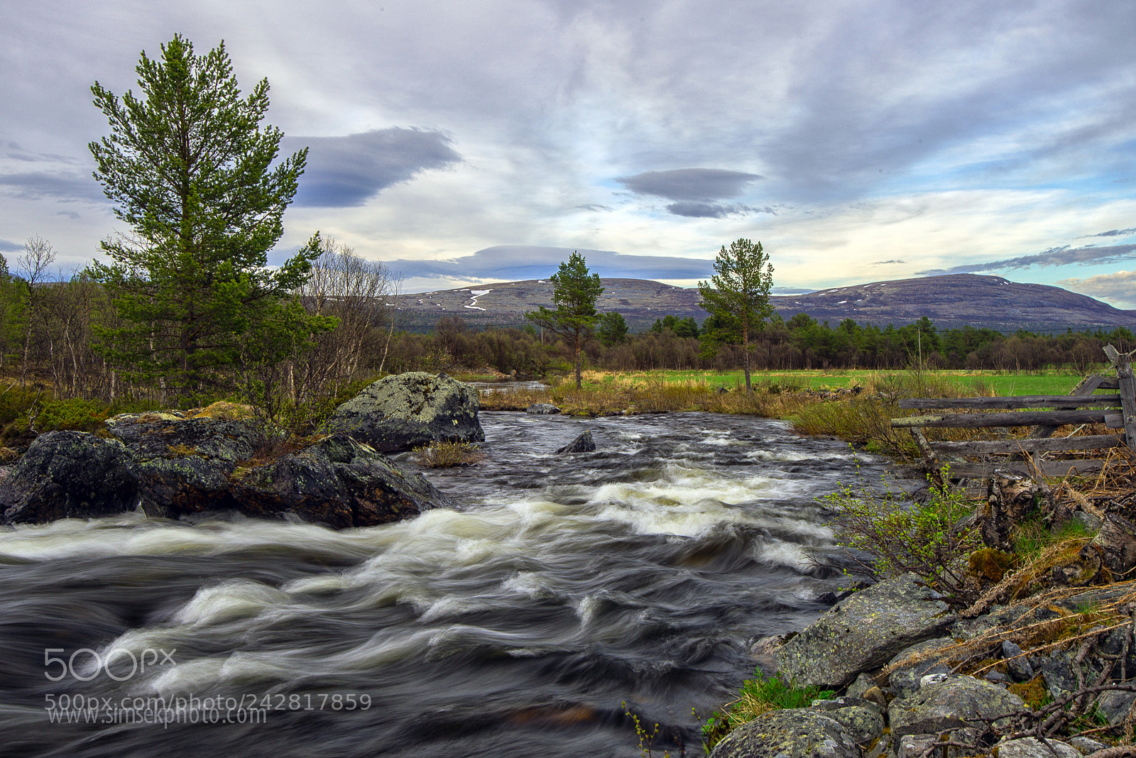 Nikon D800 sample photo. Earth portraits photography
