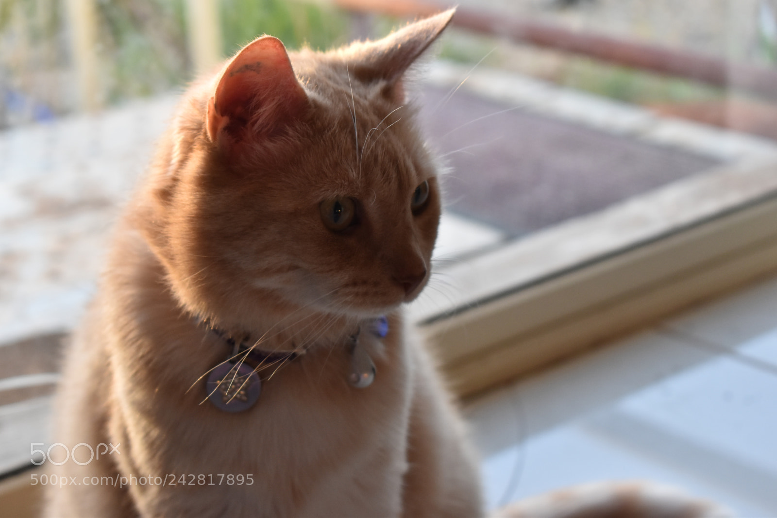 Nikon D5600 sample photo. Over yonder photography