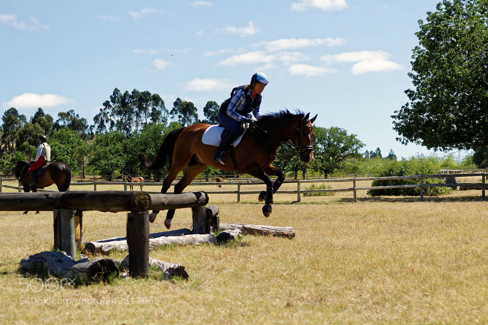 Canon EOS 1300D (EOS Rebel T6 / EOS Kiss X80) + Canon EF 50mm F1.8 STM sample photo. Pegasus the flying horse photography