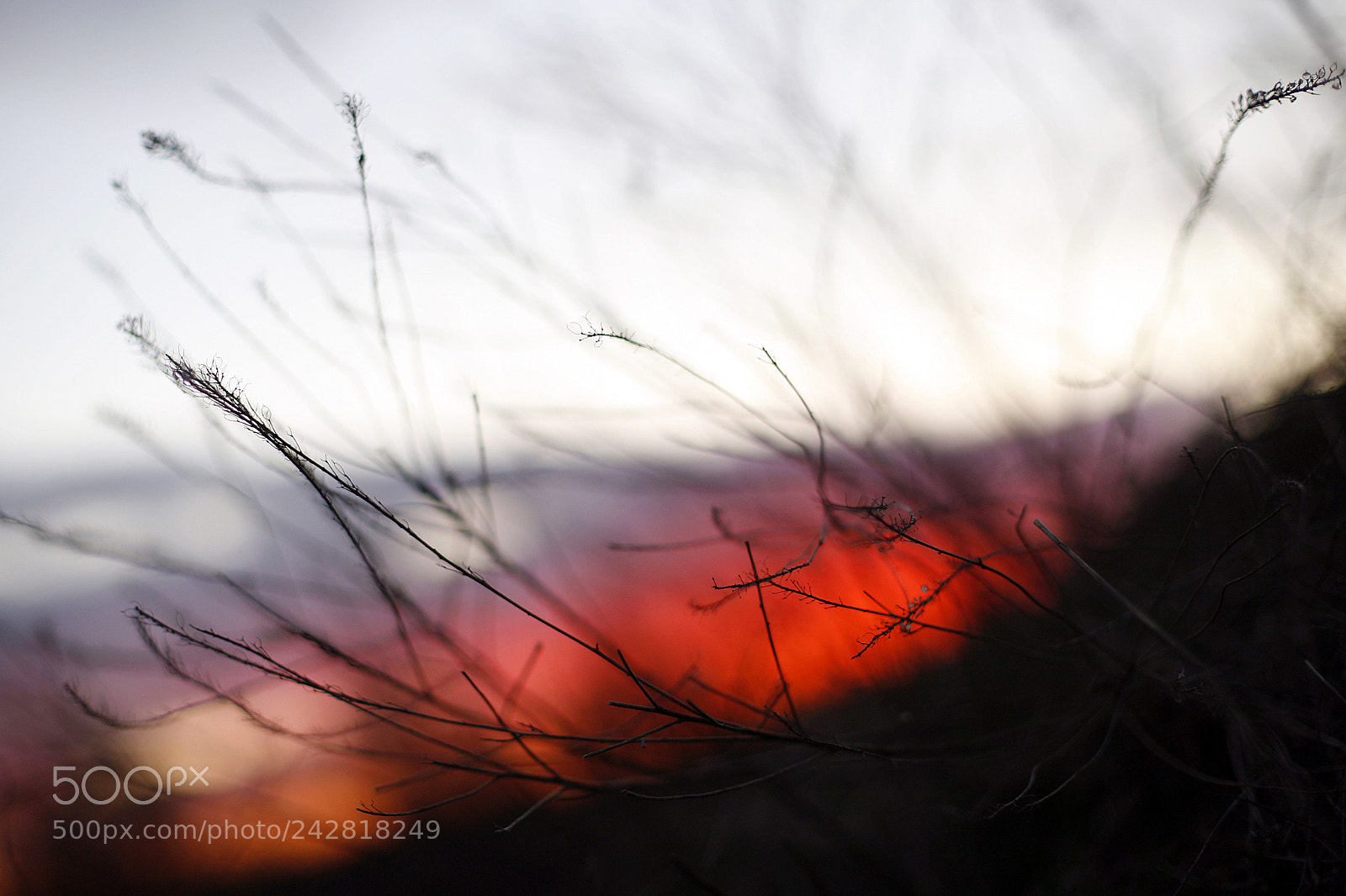 Canon EOS 5D sample photo. / photography