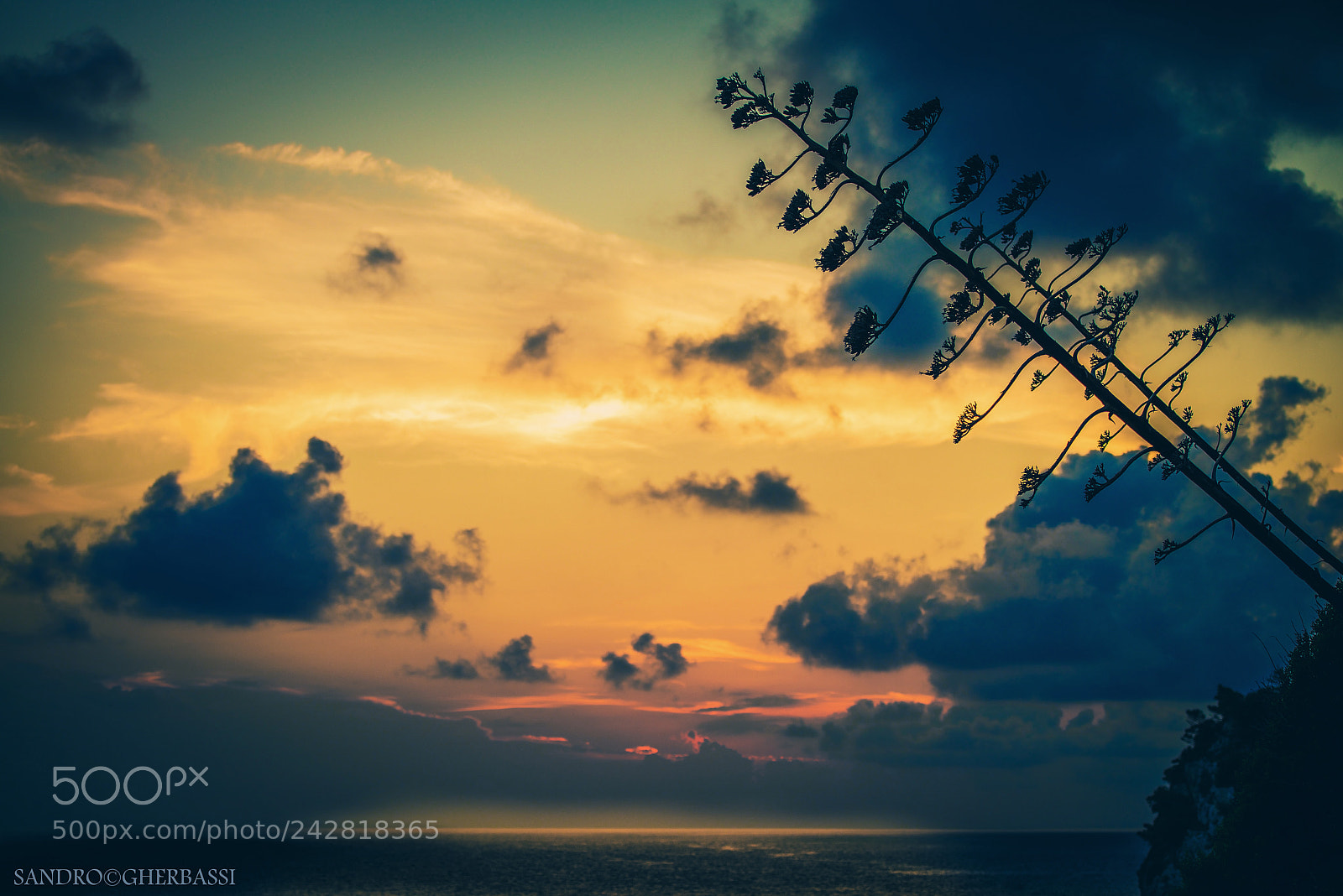 Nikon D800 sample photo. Sunset photography