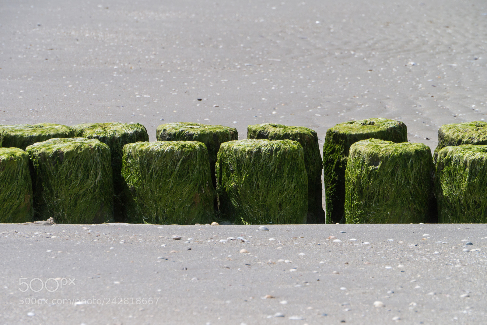 Panasonic Lumix DMC-G3 sample photo. Beach photography