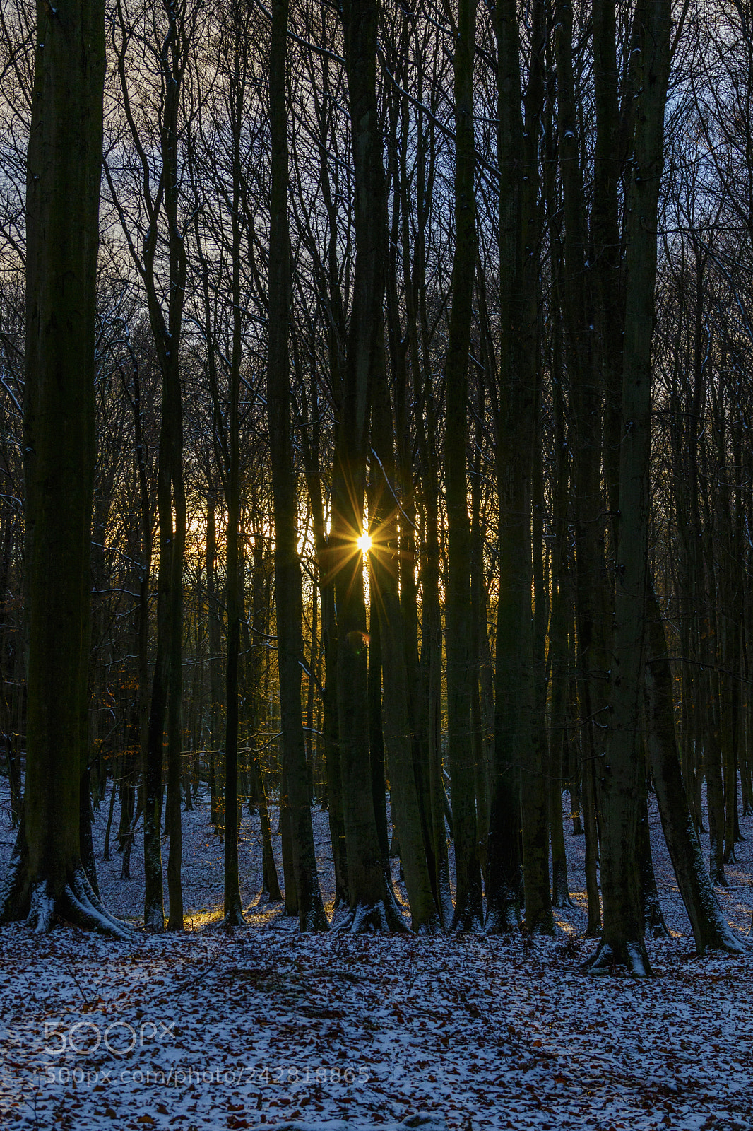 Canon EOS 7D Mark II sample photo. Nationalpark jasmund photography