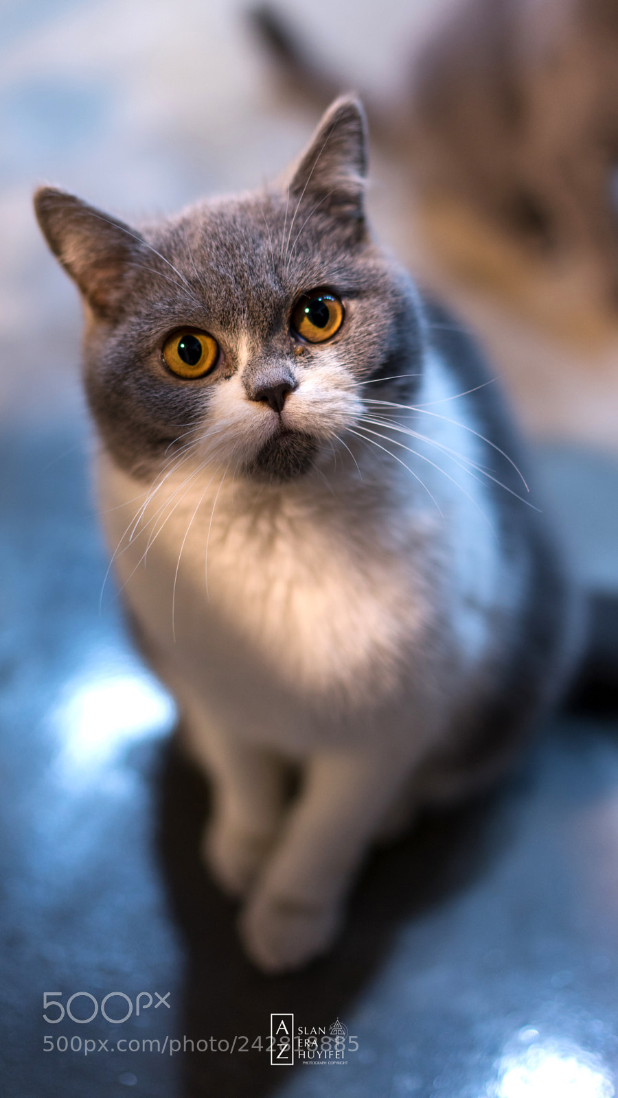Sony a7 II sample photo. Hope photography