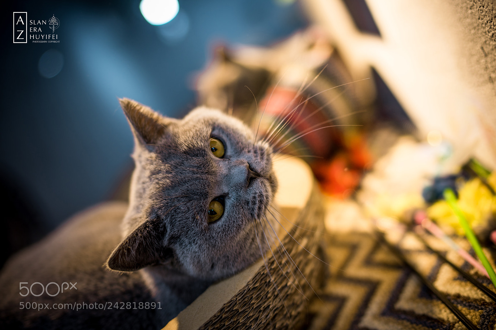 Sony a7 II sample photo. Hope photography