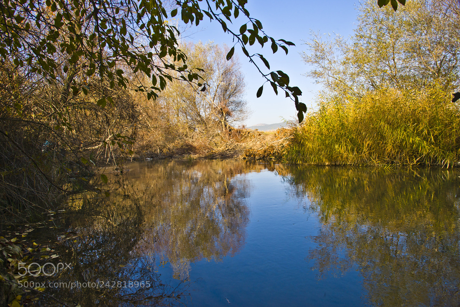 Nikon D800 sample photo. 000_3695.jpg photography