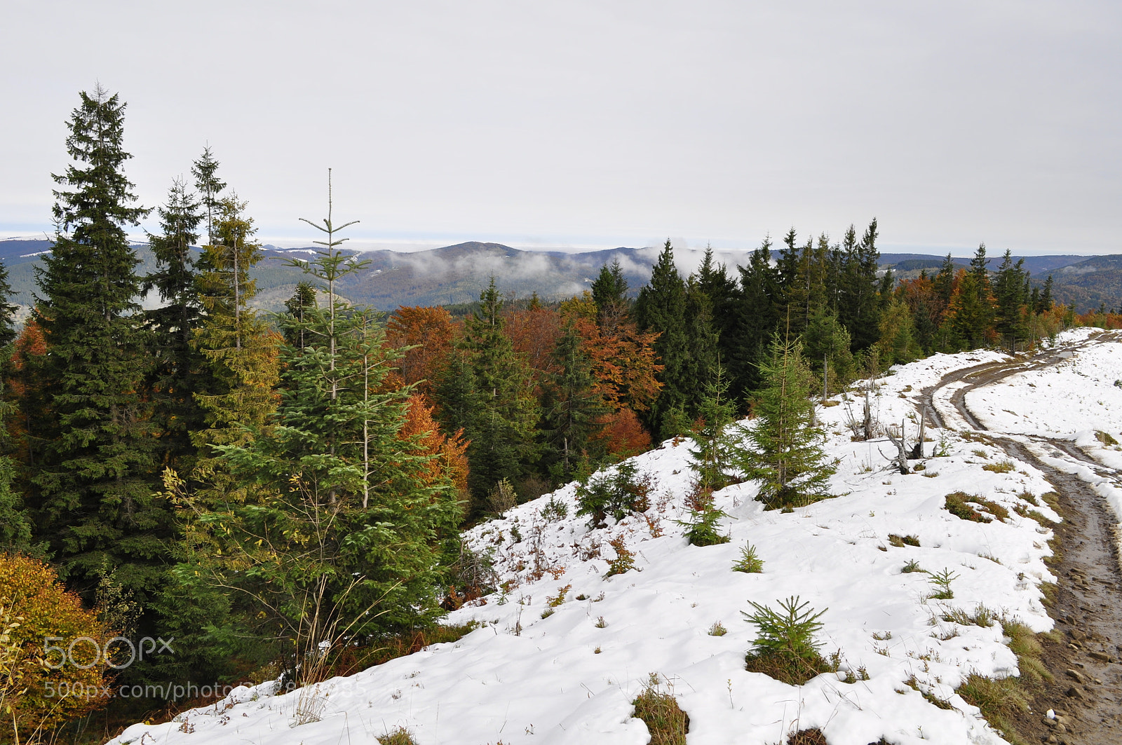 Nikon D5000 sample photo. Carpathian mountains photography