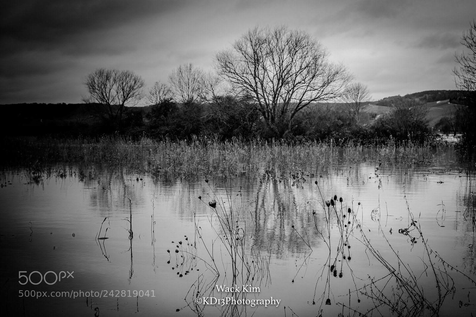 Nikon D7100 sample photo. Natures reflection photography