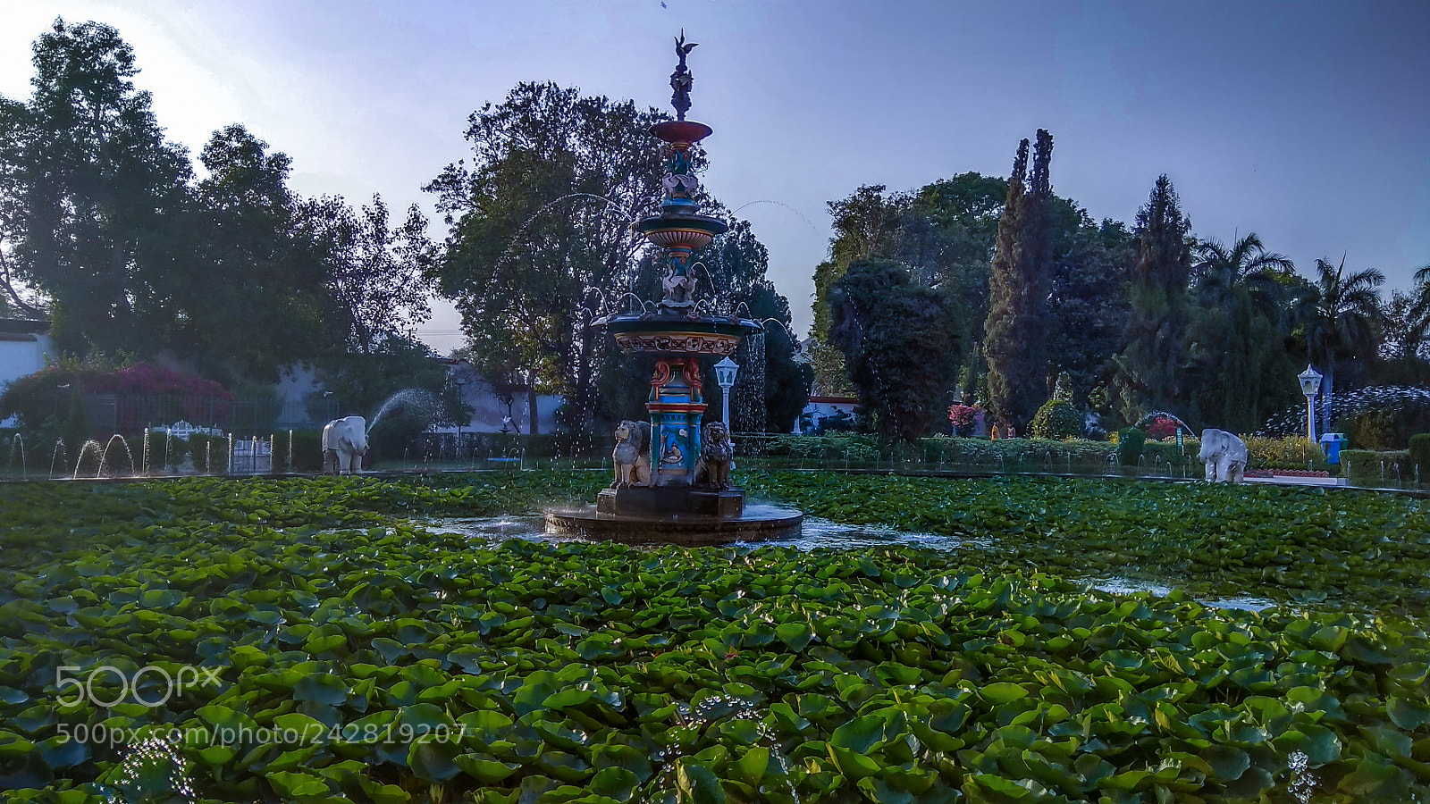 Xiaomi Redmi Note 4 sample photo. Natures love sahelio ki photography