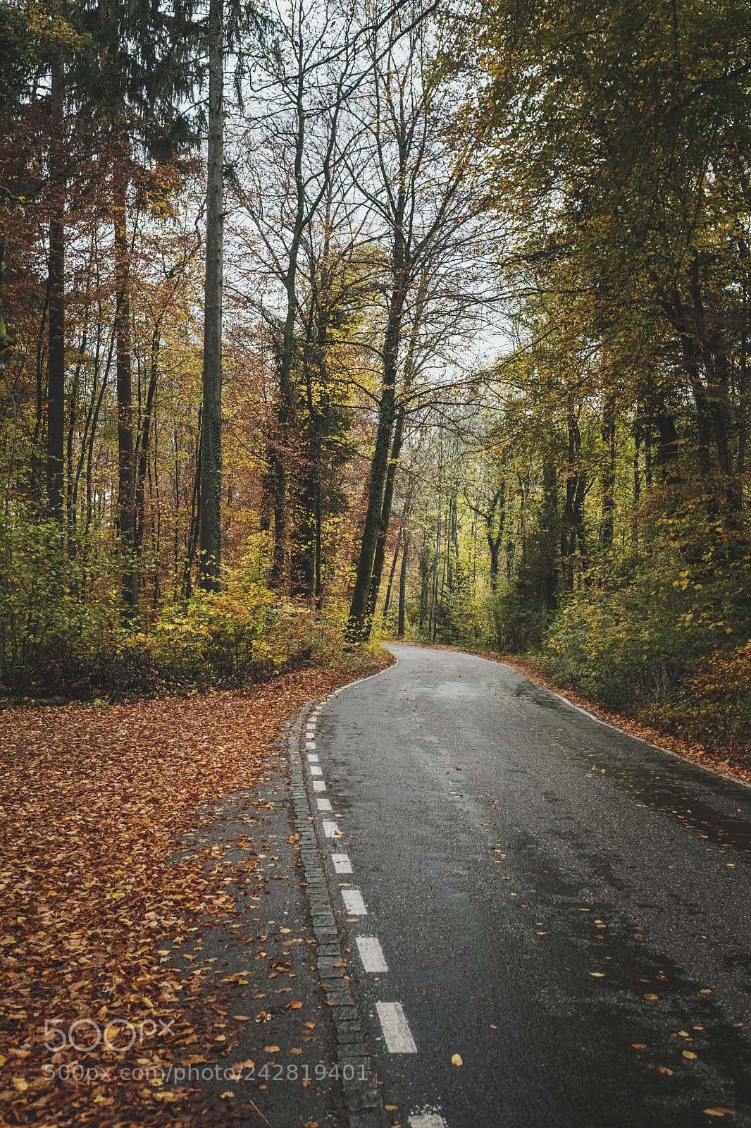 Fujifilm X-T2 sample photo. Riedholzstrasse photography