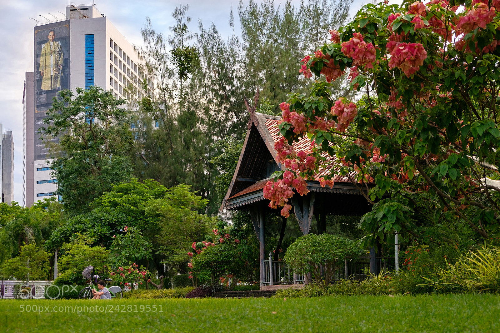 Fujifilm X-T20 sample photo. Limpini park in summer photography
