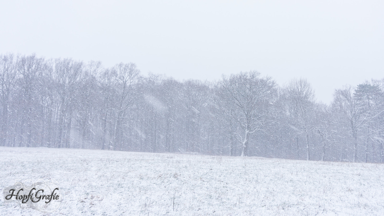 Sony Alpha NEX-3N sample photo. Kleiner wintereinbruch, endlich mal photography
