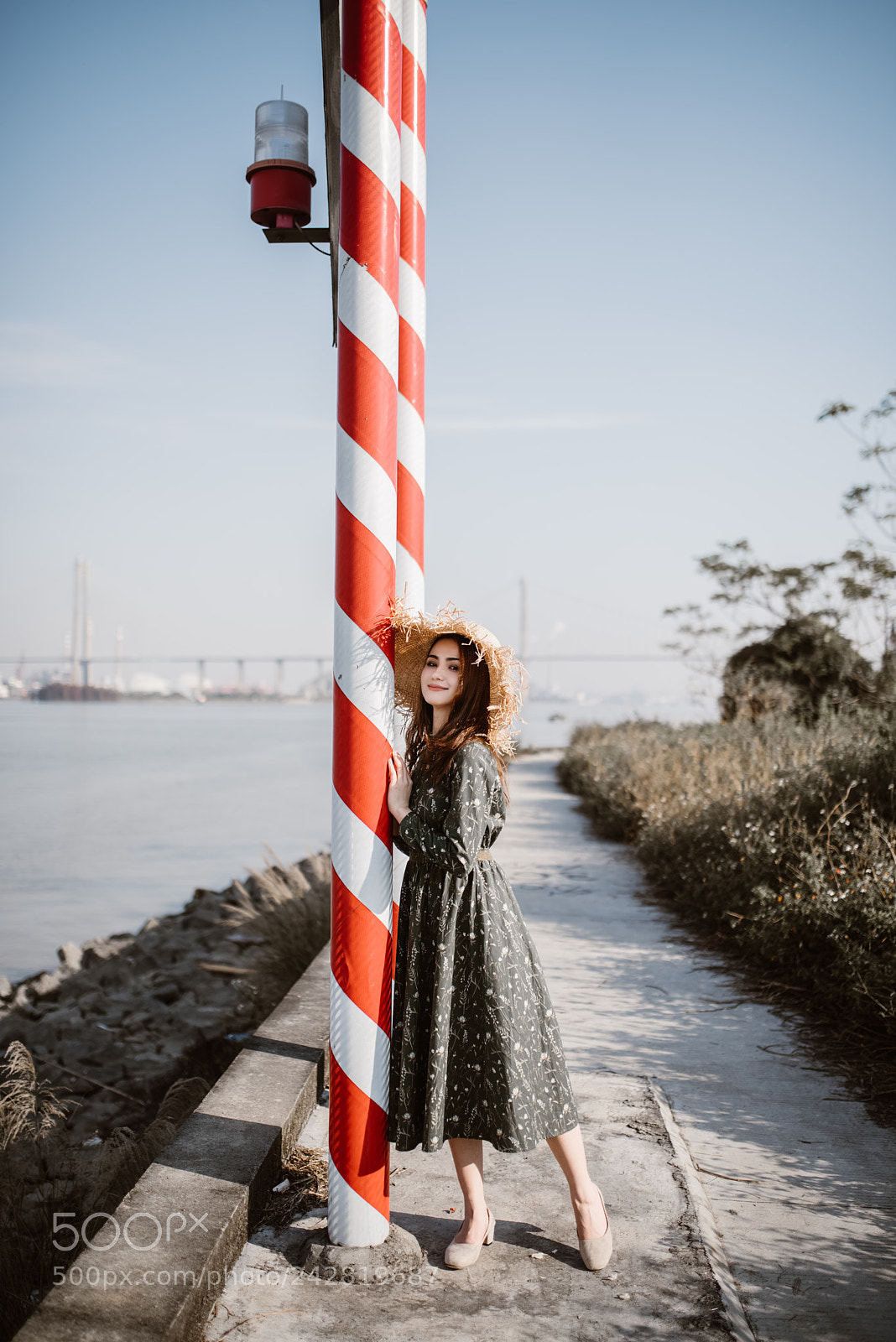 Nikon D810 sample photo. Untitled photography