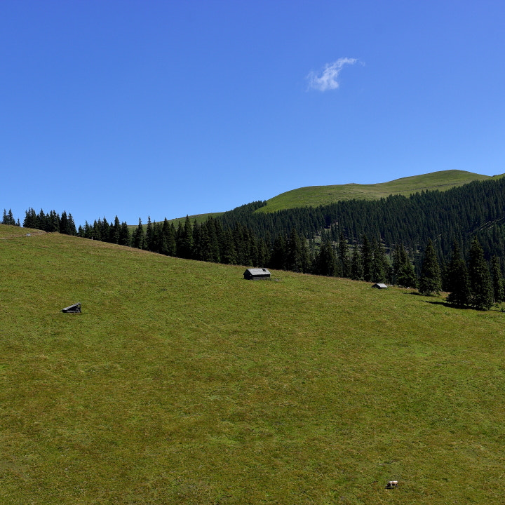 Canon EF-S 24mm F2.8 STM sample photo. Budacu photography