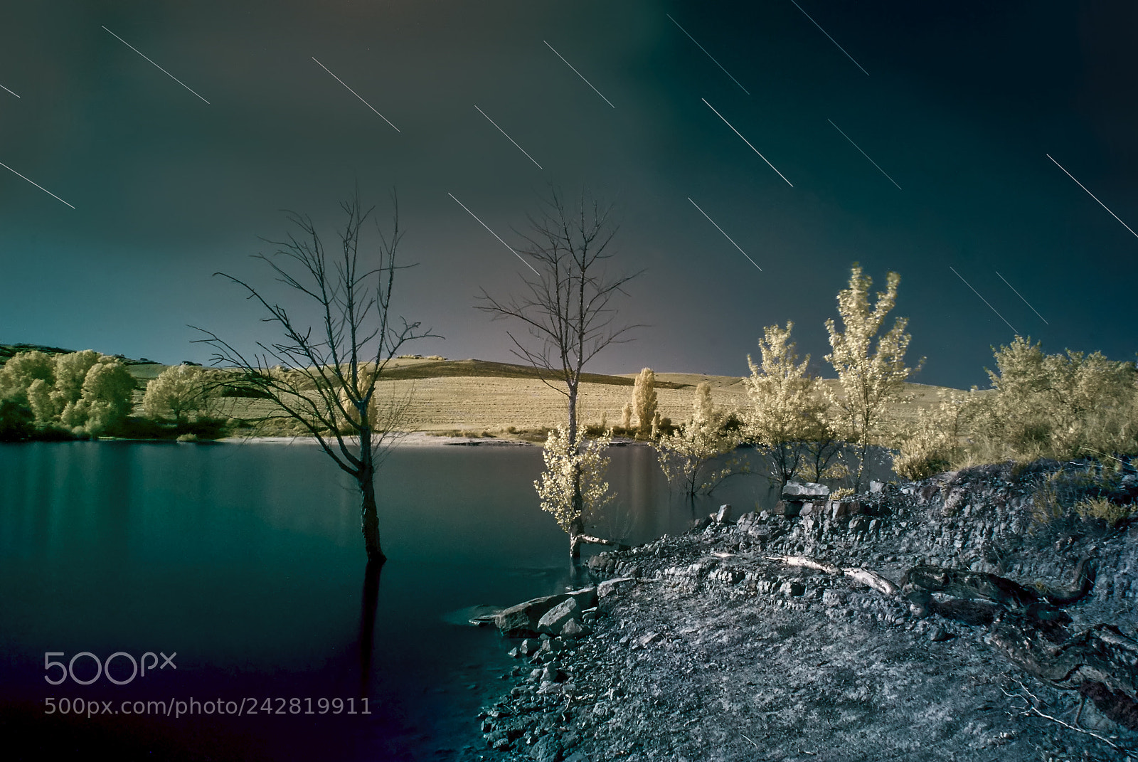 Pentax K10D sample photo. Alloz night infrared photography